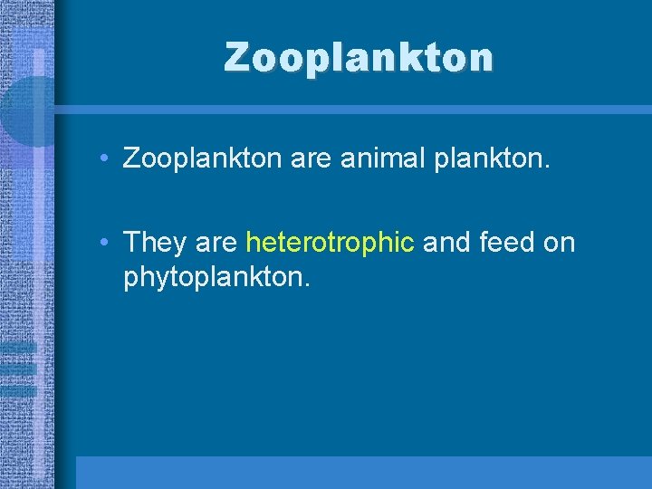 Zooplankton • Zooplankton are animal plankton. • They are heterotrophic and feed on phytoplankton.
