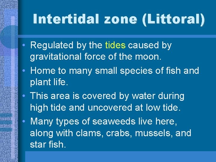 Intertidal zone (Littoral) • Regulated by the tides caused by gravitational force of the