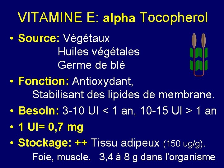 VITAMINE E: alpha Tocopherol • Source: Végétaux Huiles végétales Germe de blé • Fonction: