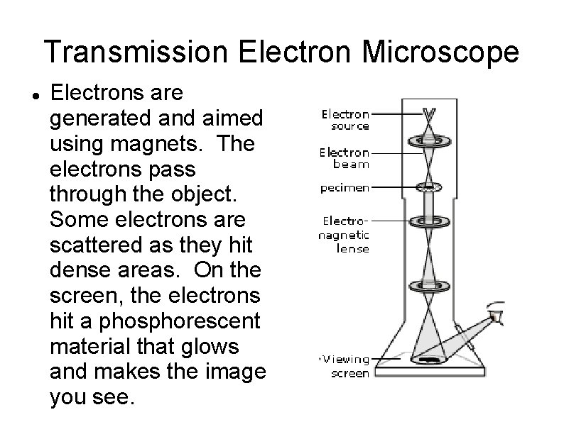 Transmission Electron Microscope Electrons are generated and aimed using magnets. The electrons pass through