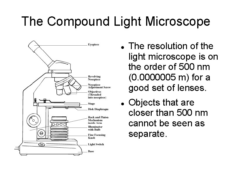 The Compound Light Microscope The resolution of the light microscope is on the order