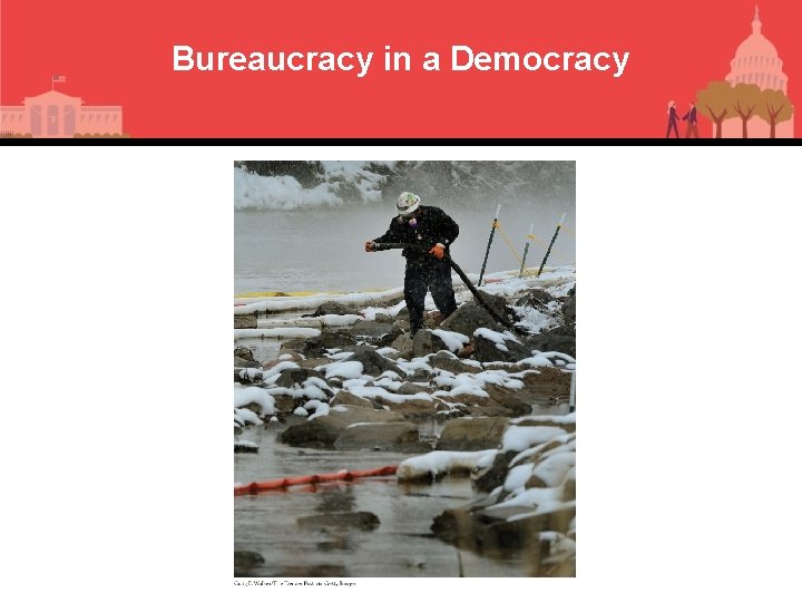 Bureaucracy in a Democracy 