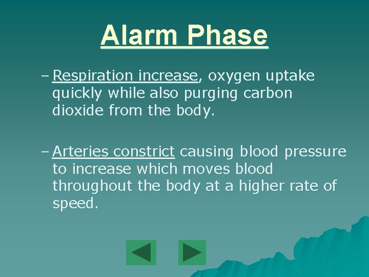 Alarm Phase – Respiration increase, oxygen uptake quickly while also purging carbon dioxide from