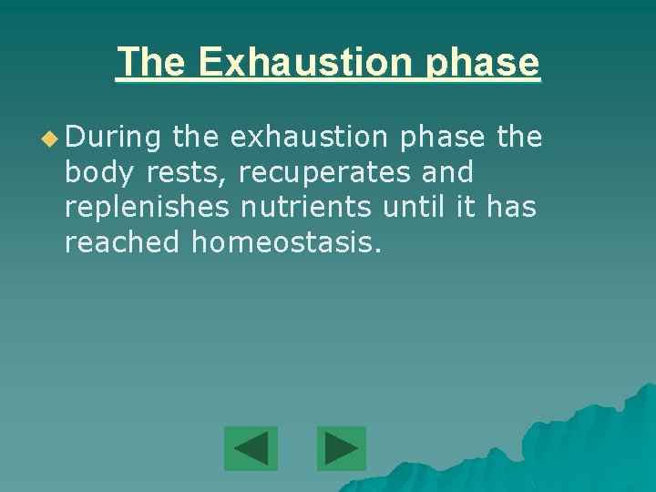 The Exhaustion phase u During the exhaustion phase the body rests, recuperates and replenishes