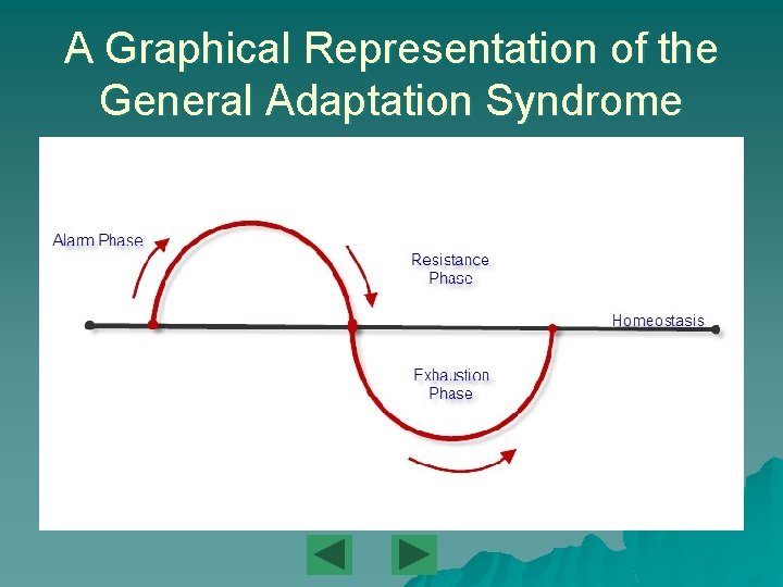 A Graphical Representation of the General Adaptation Syndrome 