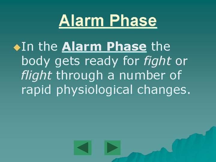 Alarm Phase u. In the Alarm Phase the body gets ready for fight or
