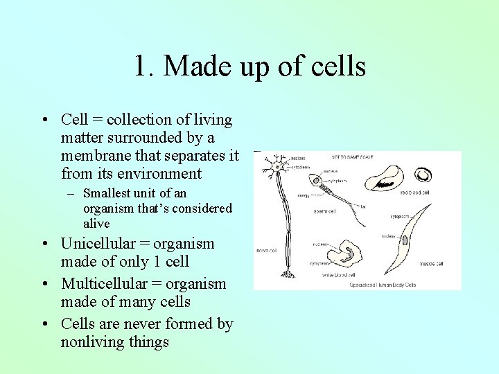 1. Made up of cells • Cell = collection of living matter surrounded by
