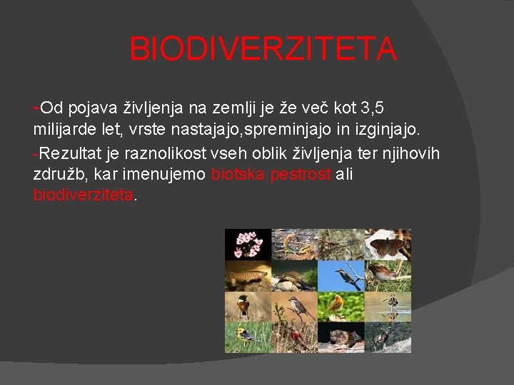 BIODIVERZITETA -Od pojava življenja na zemlji je že več kot 3, 5 milijarde let,