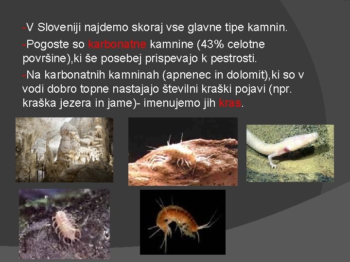 -V Sloveniji najdemo skoraj vse glavne tipe kamnin. -Pogoste so karbonatne kamnine (43% celotne