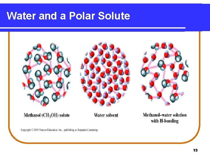 Water and a Polar Solute 13 
