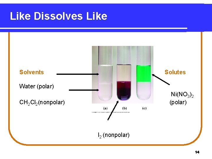 Like Dissolves Like Solvents Solutes Water (polar) Ni(NO 3)2 (polar) CH 2 Cl 2(nonpolar)