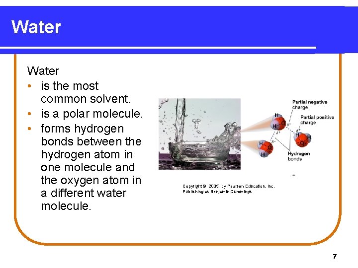 Water • is the most common solvent. • is a polar molecule. • forms