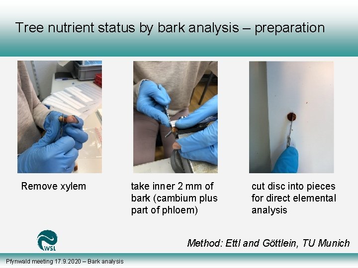 Tree nutrient status by bark analysis – preparation Remove xylem take inner 2 mm