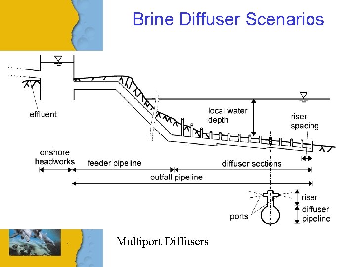 Brine Diffuser Scenarios Multiport Diffusers 