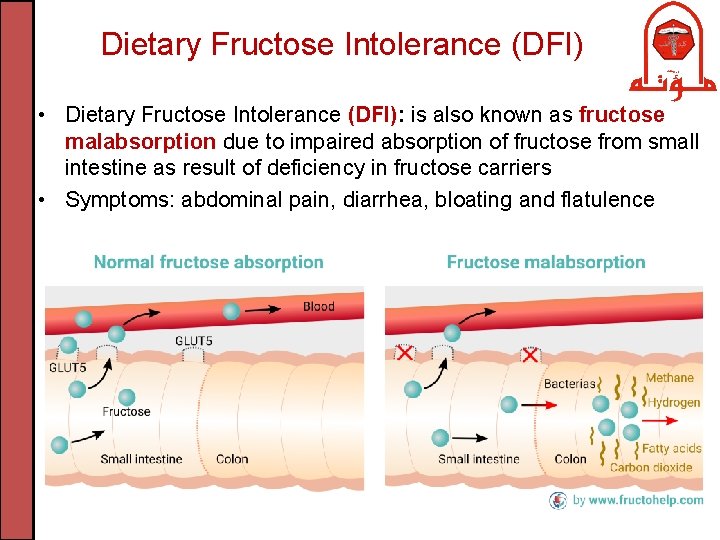 Dietary Fructose Intolerance (DFI) • Dietary Fructose Intolerance (DFI): is also known as fructose