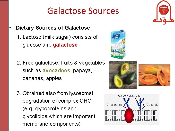 Galactose Sources • Dietary Sources of Galactose: 1. Lactose (milk sugar) consists of glucose