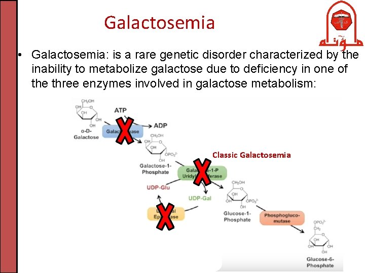 Galactosemia • Galactosemia: is a rare genetic disorder characterized by the inability to metabolize