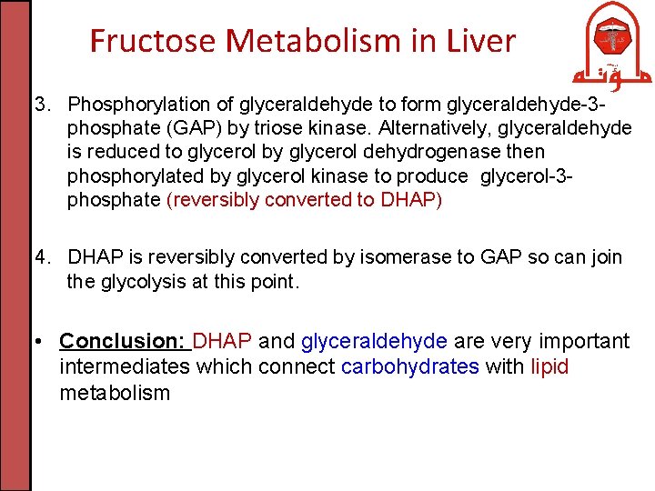 Fructose Metabolism in Liver 3. Phosphorylation of glyceraldehyde to form glyceraldehyde-3 phosphate (GAP) by