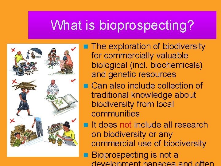 What is bioprospecting? The exploration of biodiversity for commercially valuable biological (incl. biochemicals) and