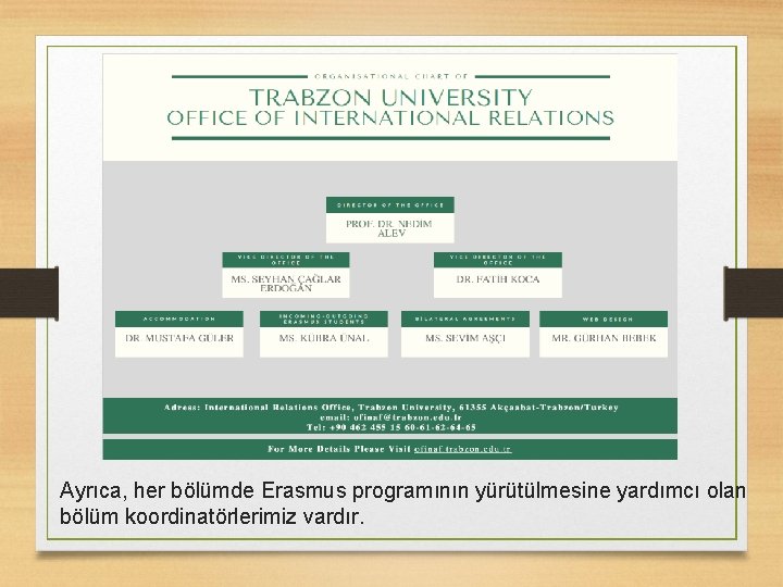 Ayrıca, her bölümde Erasmus programının yürütülmesine yardımcı olan bölüm koordinatörlerimiz vardır. 