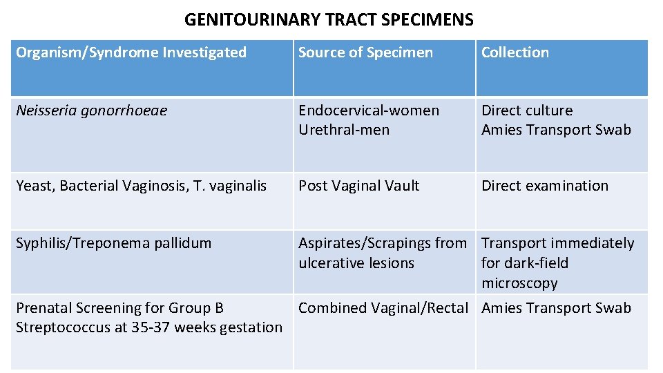 GENITOURINARY TRACT SPECIMENS Organism/Syndrome Investigated Source of Specimen Collection Neisseria gonorrhoeae Endocervical-women Urethral-men Direct