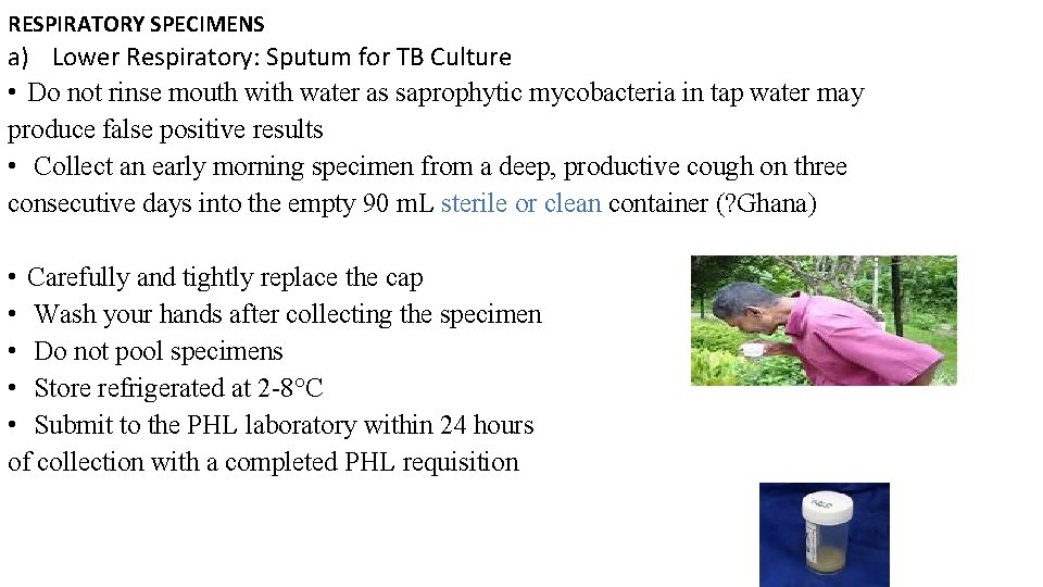 RESPIRATORY SPECIMENS a) Lower Respiratory: Sputum for TB Culture • Do not rinse mouth