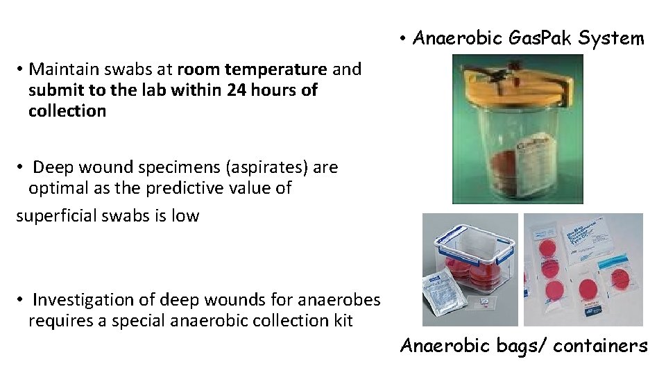  • Anaerobic Gas. Pak System • Maintain swabs at room temperature and submit