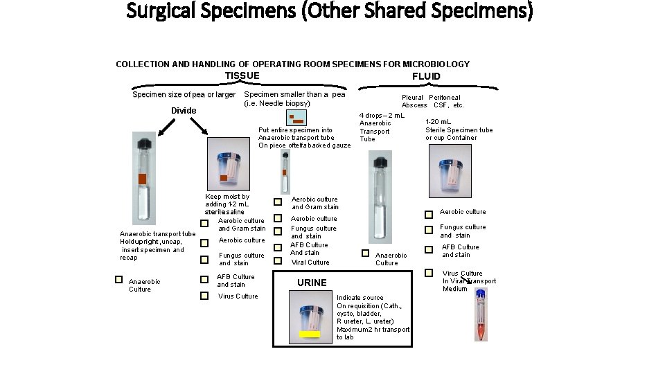 Surgical Specimens (Other Shared Specimens) COLLECTION AND HANDLING OF OPERATING ROOM SPECIMENS FOR MICROBIO