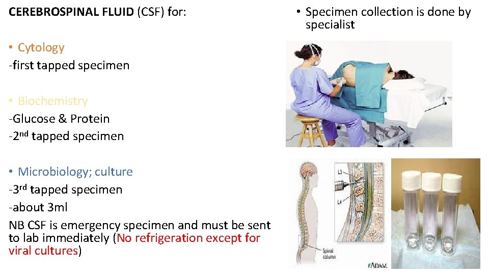 CEREBROSPINAL FLUID (CSF) for: • Cytology -first tapped specimen • Biochemistry -Glucose & Protein