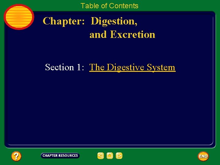 Table of Contents Chapter: Digestion, and Excretion Section 1: The Digestive System 