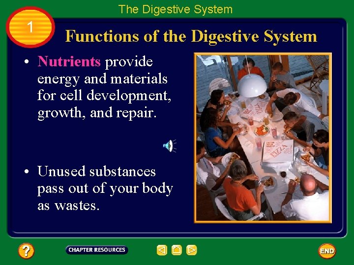 The Digestive System 1 Functions of the Digestive System • Nutrients provide energy and