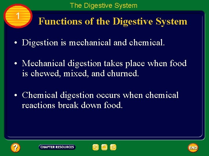 The Digestive System 1 Functions of the Digestive System • Digestion is mechanical and