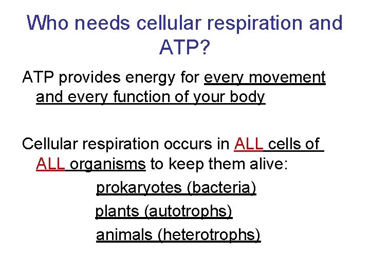 Who needs cellular respiration and ATP? ATP provides energy for every movement and every