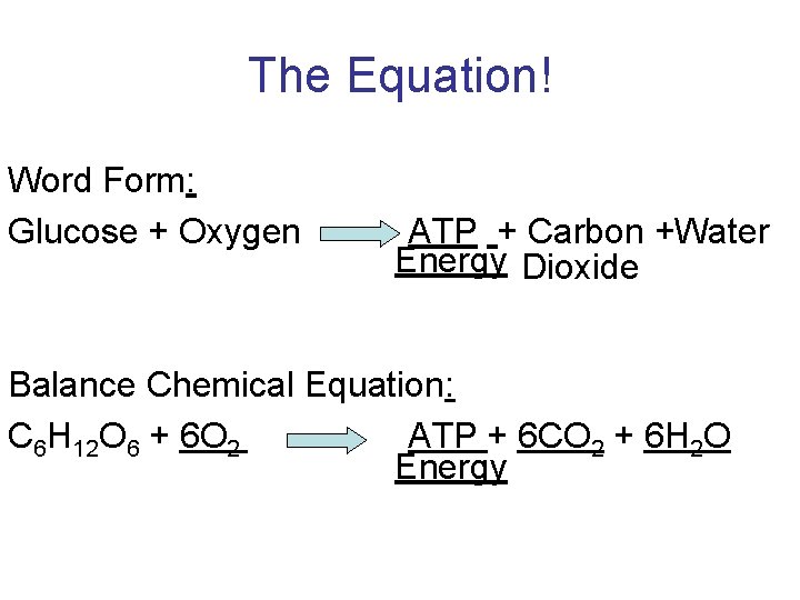 The Equation! Word Form: Glucose + Oxygen ATP + Carbon +Water Energy Dioxide Balance