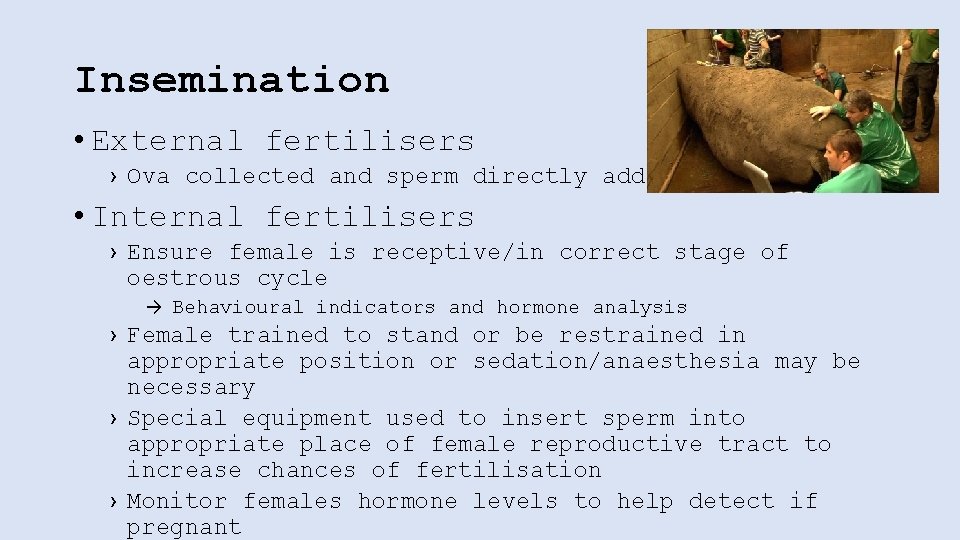 Insemination • External fertilisers › Ova collected and sperm directly added • Internal fertilisers