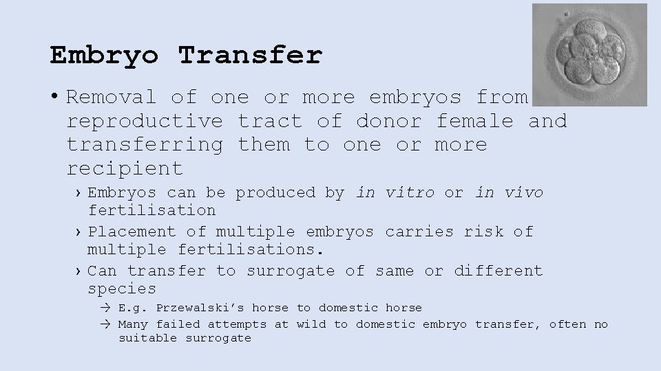 Embryo Transfer • Removal of one or more embryos from the reproductive tract of