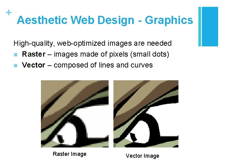 + Aesthetic Web Design - Graphics High-quality, web-optimized images are needed n Raster –