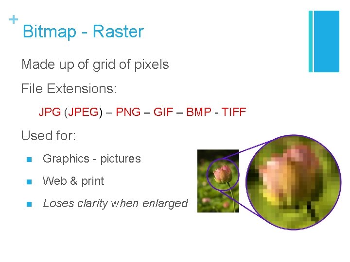 + Bitmap - Raster Made up of grid of pixels File Extensions: JPG (JPEG)