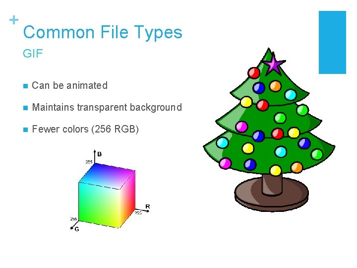+ Common File Types GIF n Can be animated n Maintains transparent background n