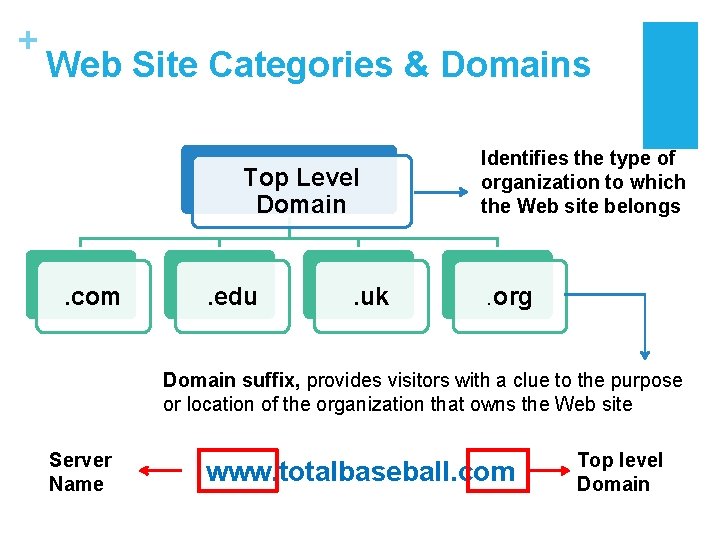 + Web Site Categories & Domains Top Level Domain . com . edu .