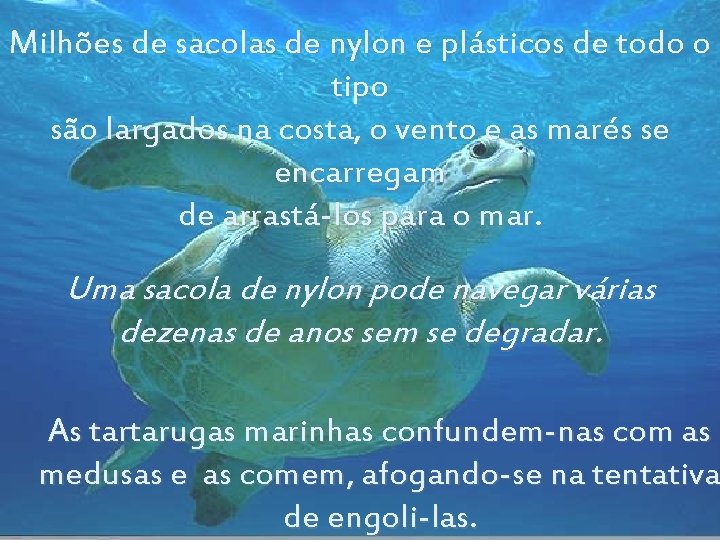 Milhões de sacolas de nylon e plásticos de todo o tipo são largados na