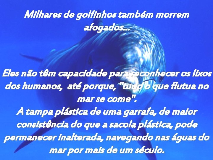 Milhares de golfinhos também morrem afogados. . . Eles não têm capacidade para reconhecer