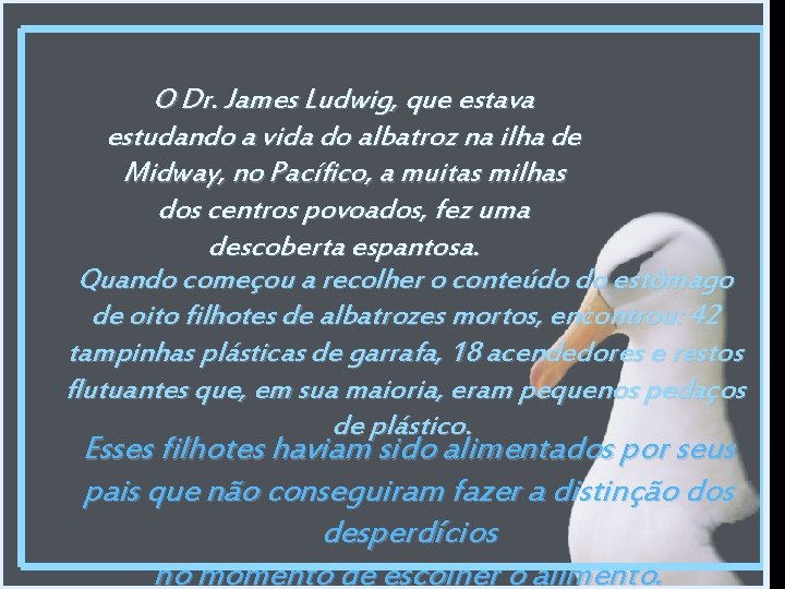 O Dr. James Ludwig, que estava estudando a vida do albatroz na ilha de