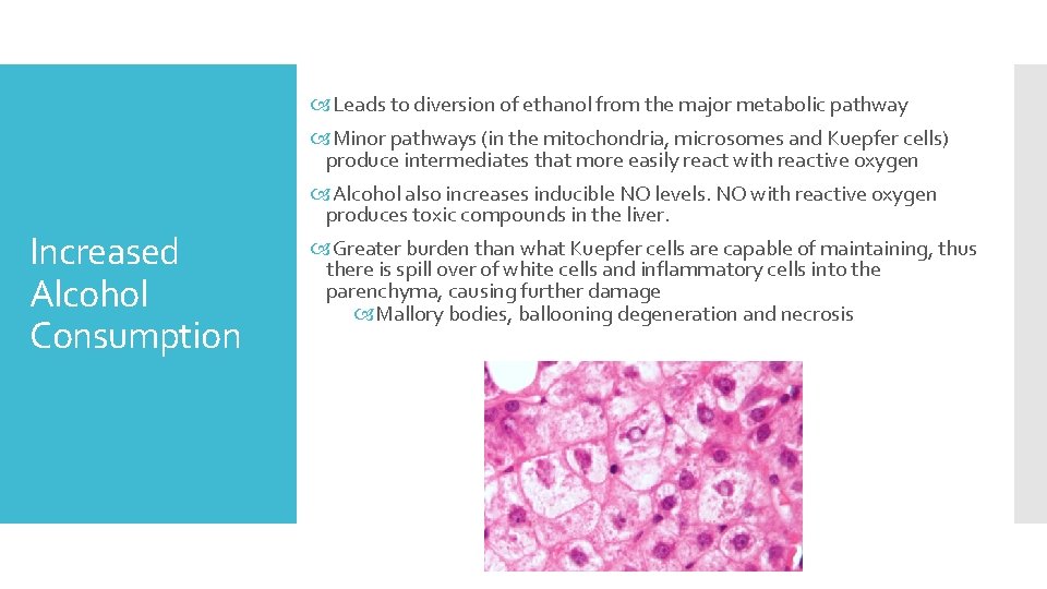  Leads to diversion of ethanol from the major metabolic pathway Minor pathways (in