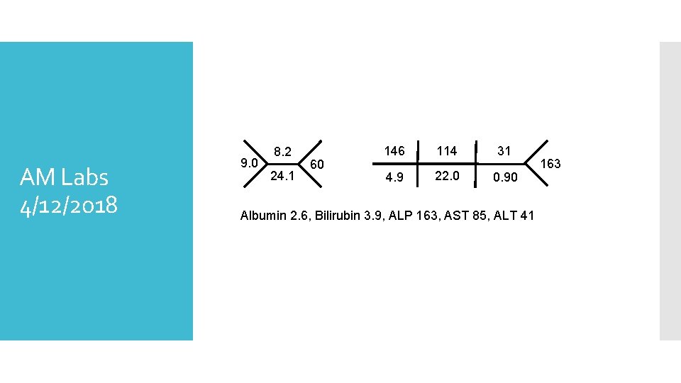 AM Labs 4/12/2018 9. 0 8. 2 24. 1 60 146 114 31 4.