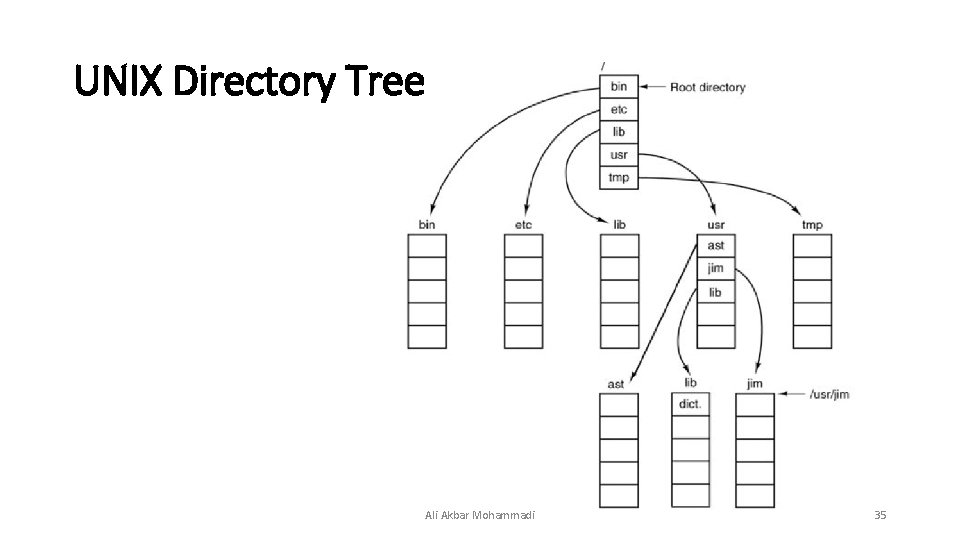 UNIX Directory Tree Ali Akbar Mohammadi 35  UNIX Directory Tree Ali Akbar Mohammadi 35