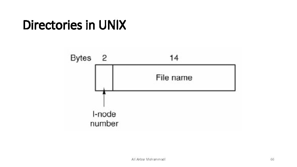 Directories in UNIX Ali Akbar Mohammadi 66  Directories in UNIX Ali Akbar Mohammadi 66