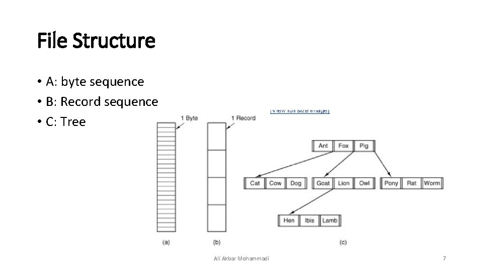 File Structure • A: byte sequence • B: Record sequence • C: Tree Ali File Structure • A: byte sequence • B: Record sequence • C: Tree Ali