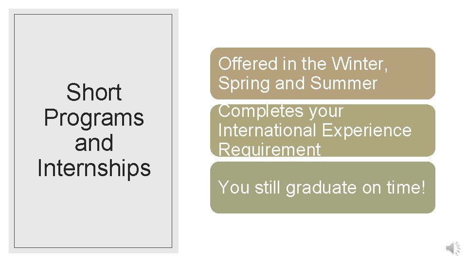 INTERNATIONAL BUSINESS MINOR Pamplin International Programs Very different