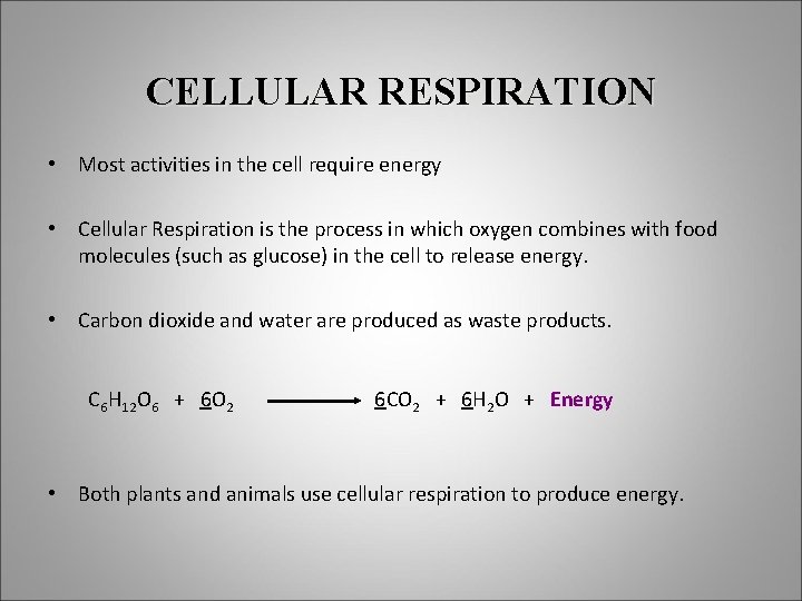 CELLULAR RESPIRATION • Most activities in the cell require energy • Cellular Respiration is